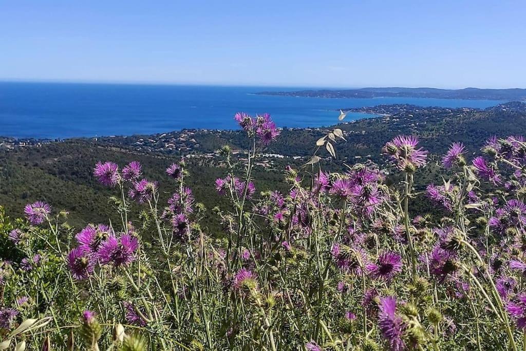 Aphrodite By Kleidos - Tres Belle Maison 6 P Climatisee Golfe Sainte Maxime Roquebrune-sur Argens Extérieur photo
